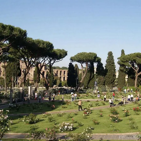 德尔缪斯酒店 3*